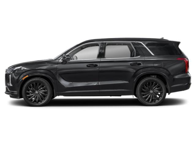 2025 Hyundai Palisade Abyss Black Pearl