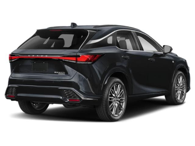 2023 Lexus RX Caviar