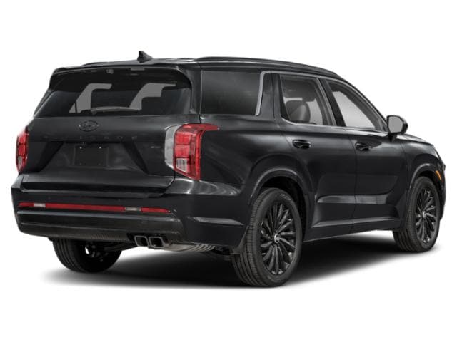 2024 Hyundai Palisade Abyss Black Pearl