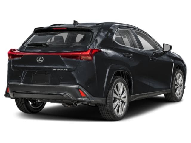 2026 Lexus UX Caviar